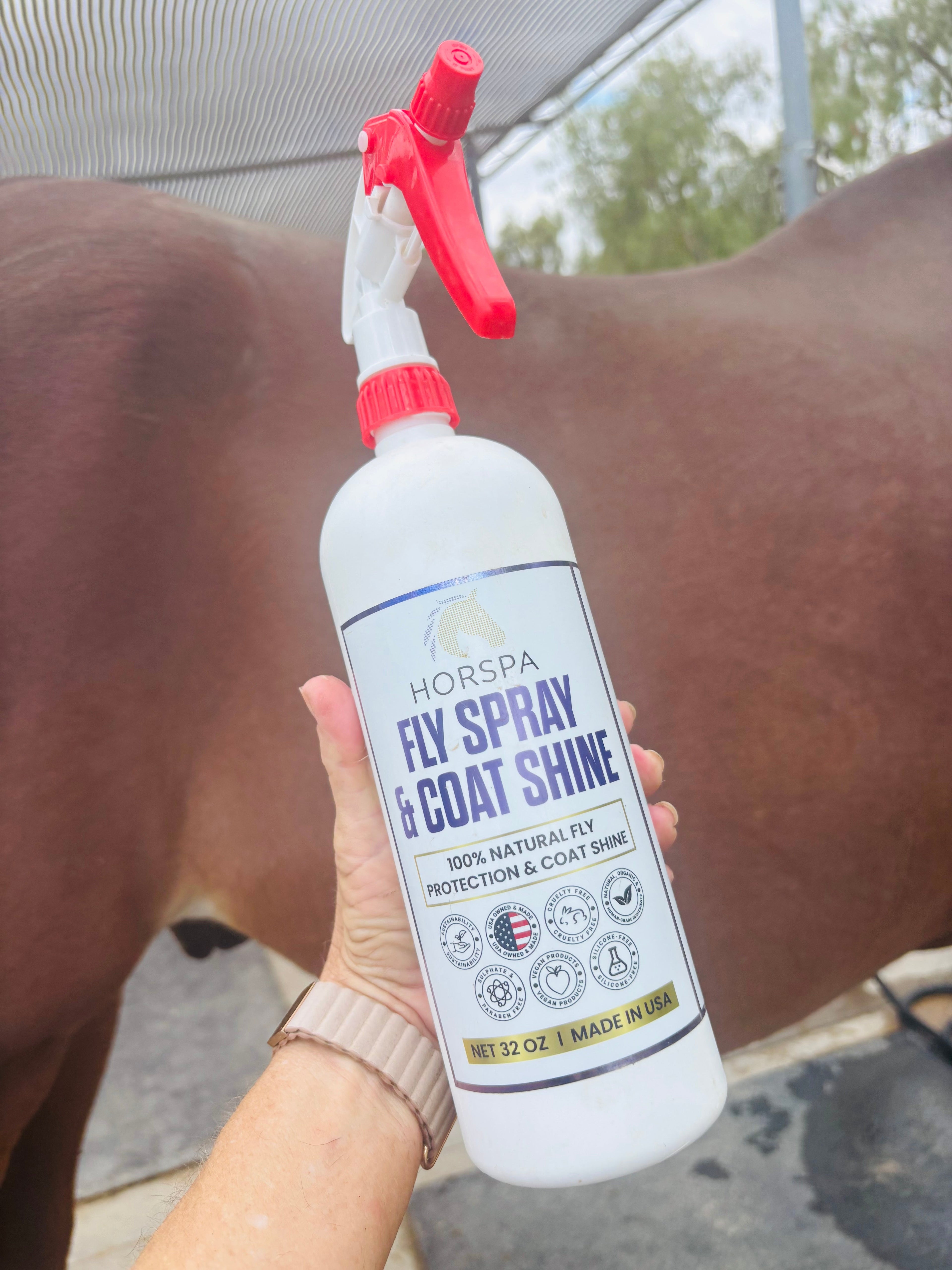 Fly Spray & Coat Shine