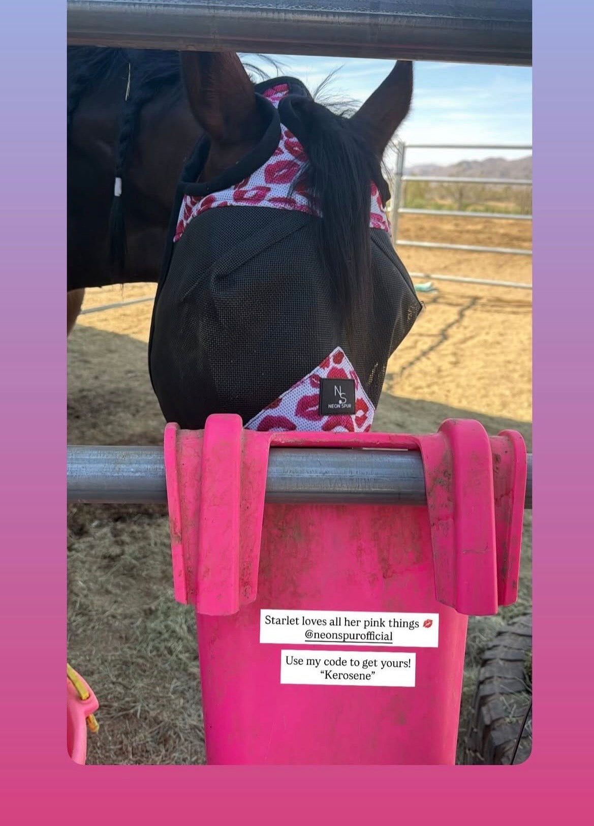 Smooch Horse Fly Mask  -Black