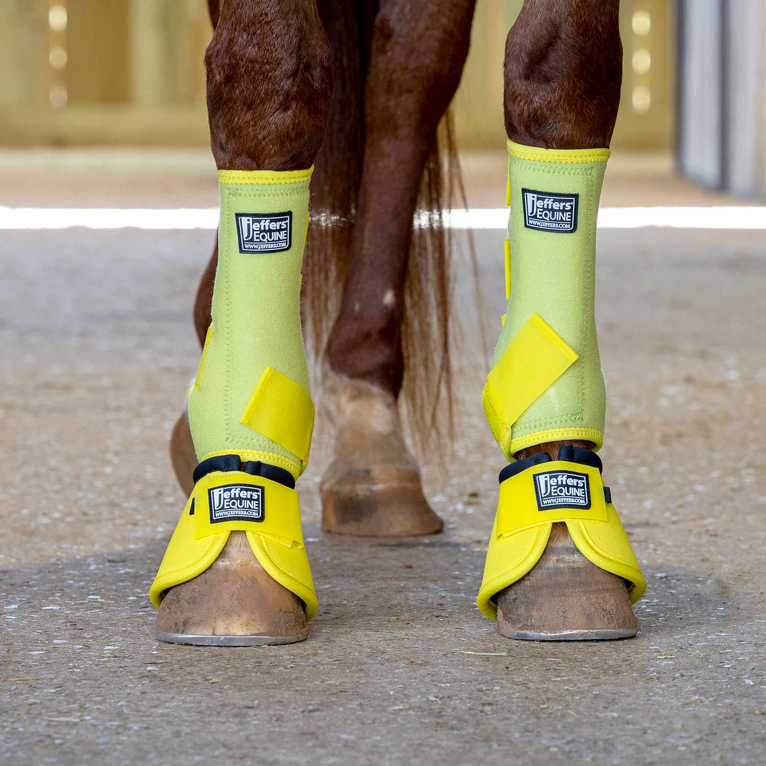 Jeffers No-Turn Bell Boots for Horses, Solid Colors, 2 ct