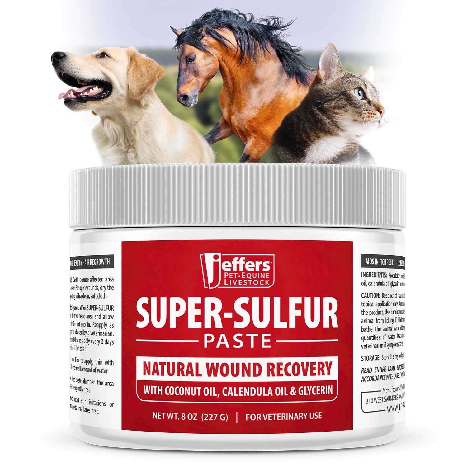 Jeffers Super-Sulfur Skin & Wound Healing Paste for Pets, Horses, & Livestock