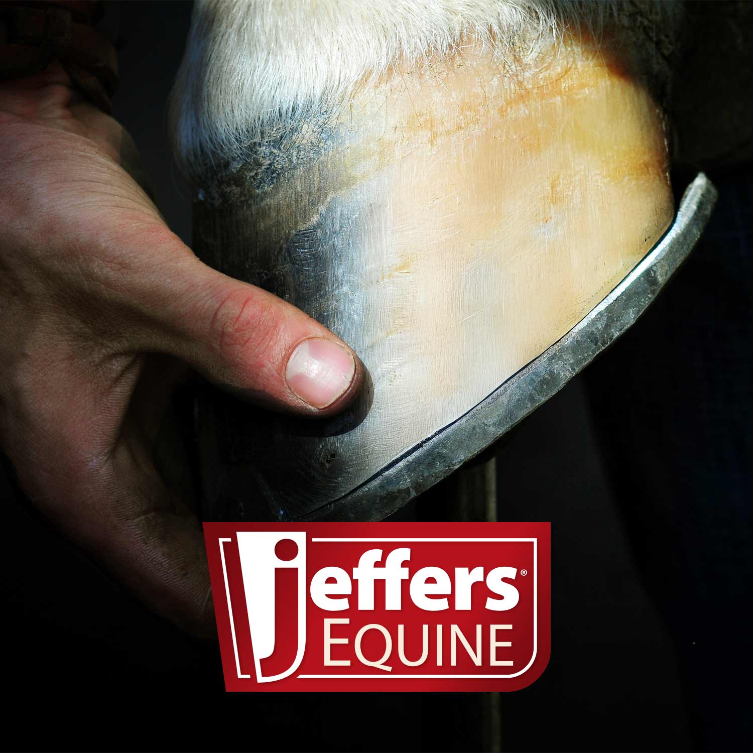 Jeffers Thrush Away Hoof Treatment for Thrush in Horses, 2 oz